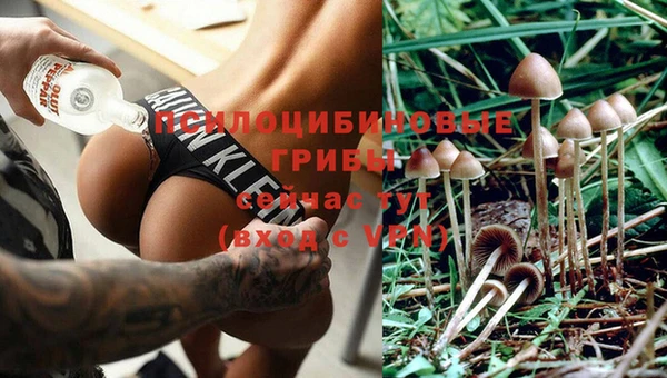 соль ск Лихославль