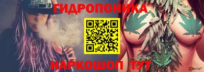 стаф Гусев