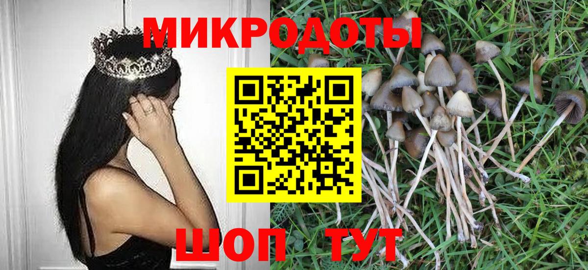 Псилоцибиновые грибы мухоморы Новосибирск