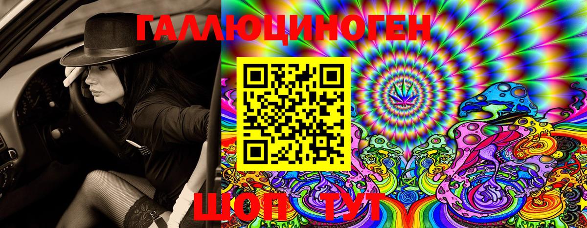 Галлюциногенные грибы Psilocybe  Новосибирск 