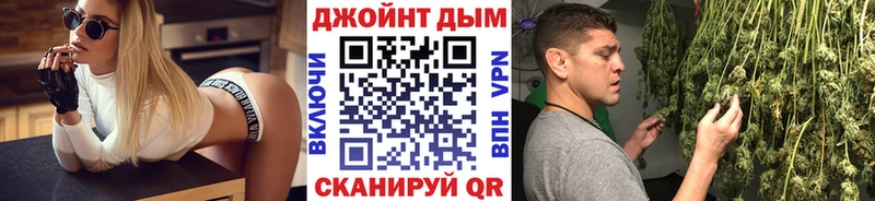 Канабис сатива  darknet как зайти  Новосибирск 