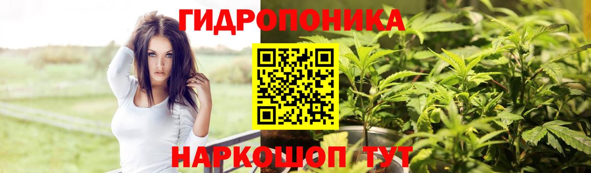 Шишки марихуана Amnesia  МАРИХУАНА сатива  Вход с VPN  Канабис сатива  Новосибирск 