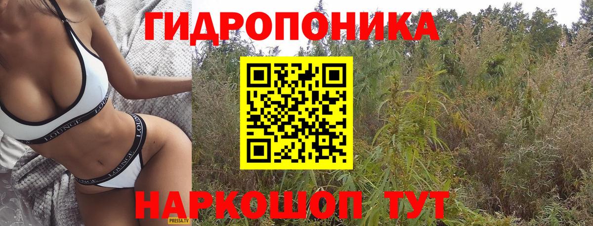 Марихуана THC 21%  Каннабис White Widow  Новосибирск  Канабис марихуана  Бошки марихуана SATIVA & INDICA 